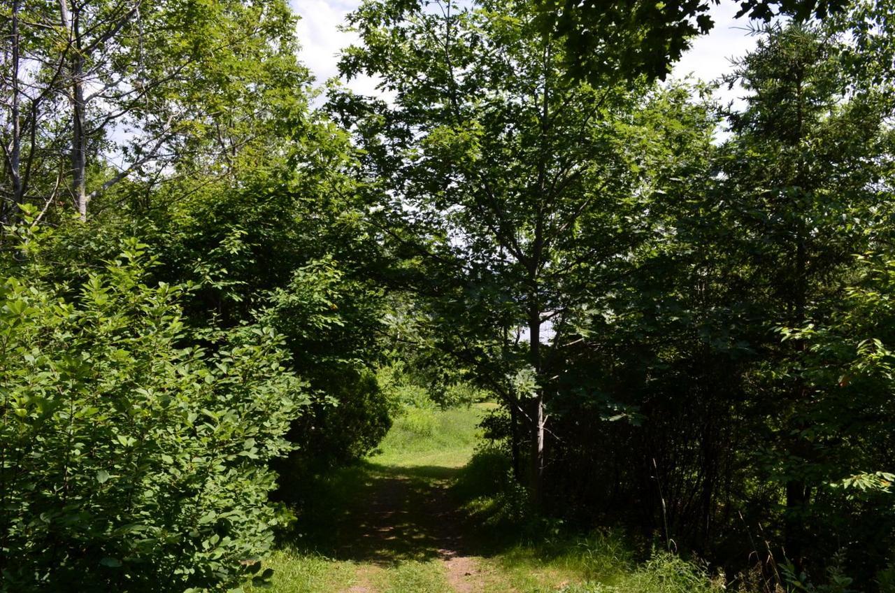 Still Point Lodge Deep Brook Exterior foto